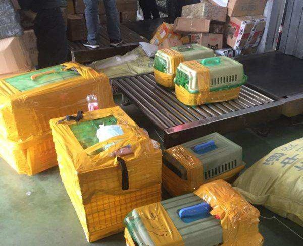 安徽航馳貨運代理(圖)-海鮮航空快遞費用-黑龍江航空物流(圖1) 安徽航馳貨運代理(圖)-海鮮航空快遞費用-黑龍江航空物流(圖1)