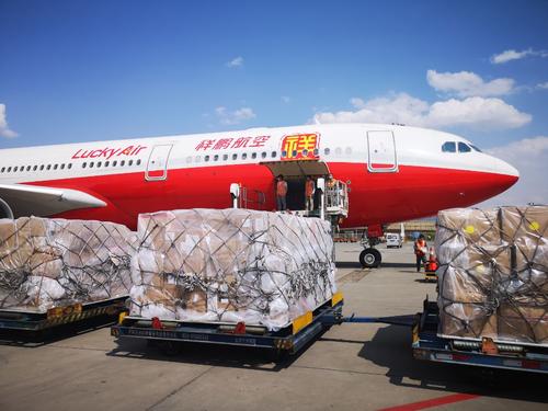 航空貨運(圖1) 航空貨運(圖1)