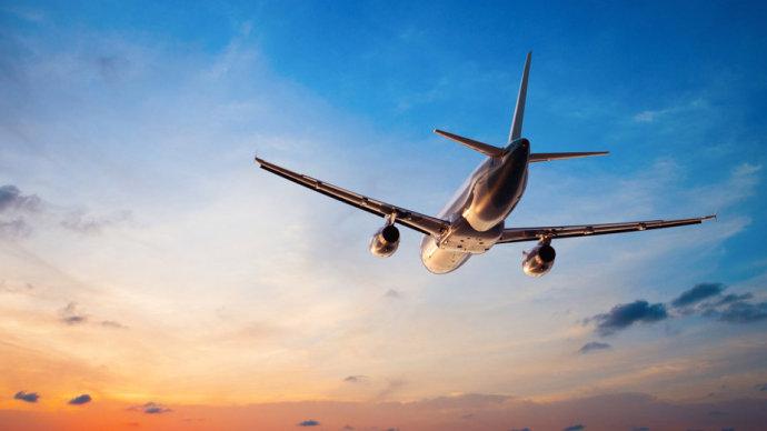 航空托運之活體動物(圖1) 航空托運之活體動物(圖1)