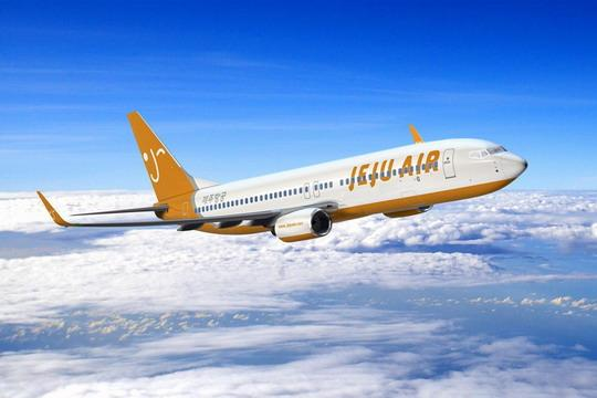 航空托運(yùn)寵物需要注意哪些問題(圖1) 航空托運(yùn)寵物需要注意哪些問題(圖1)