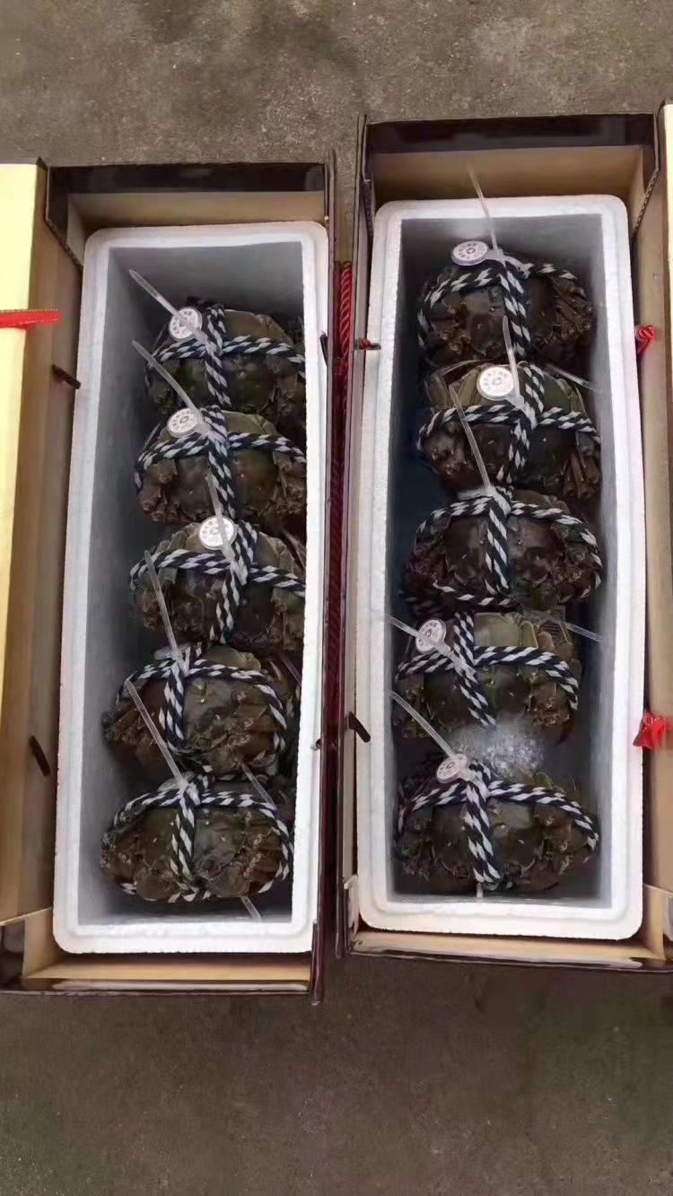 航空貨運受疫情影響 優(yōu)化航空貨運線路 提升運力(圖1) 航空貨運受疫情影響 優(yōu)化航空貨運線路 提升運力(圖1)